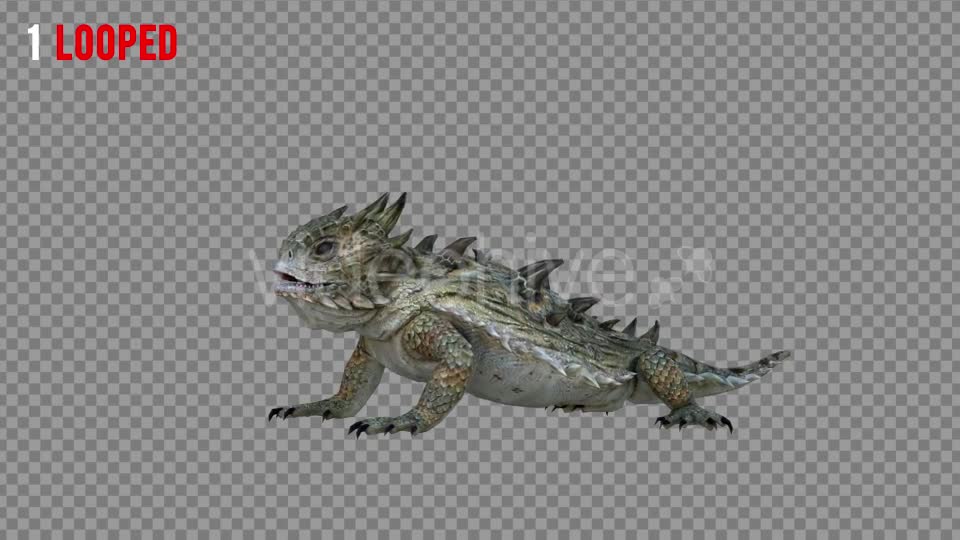Horn Lizard 2 Realistic Pack 4 Videohive 21251295 Motion Graphics Image 1