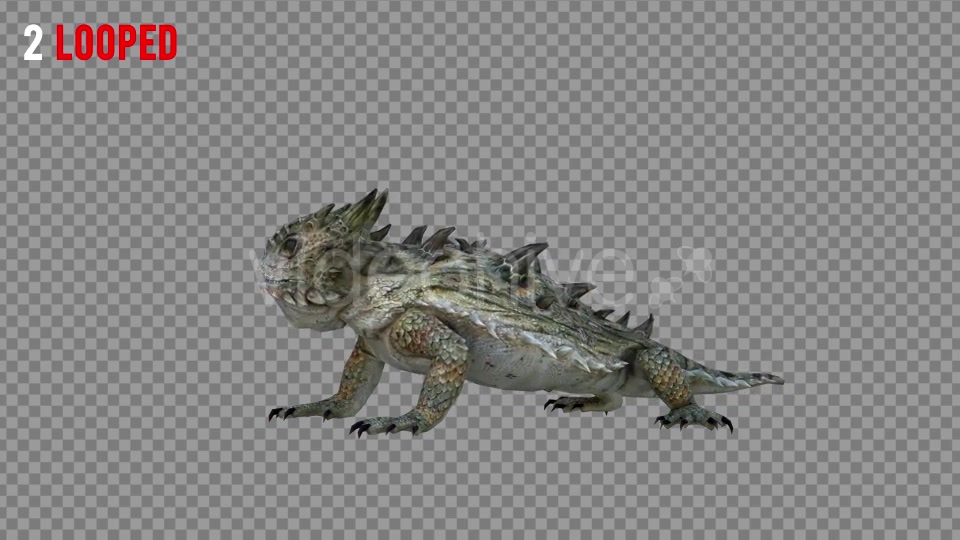 Horn Lizard 2 Realistic Pack 4 Videohive 21251295 Motion Graphics Image 4