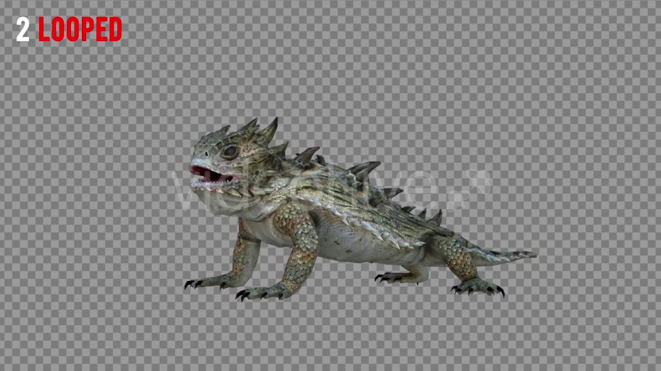 Horn Lizard 2 Realistic Pack 4 Videohive 21251295 Motion Graphics Image 5