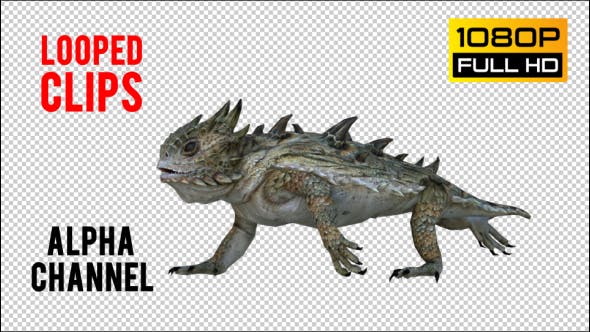 Horn Lizard 2 Realistic Pack 4 - Videohive 21251295 Download