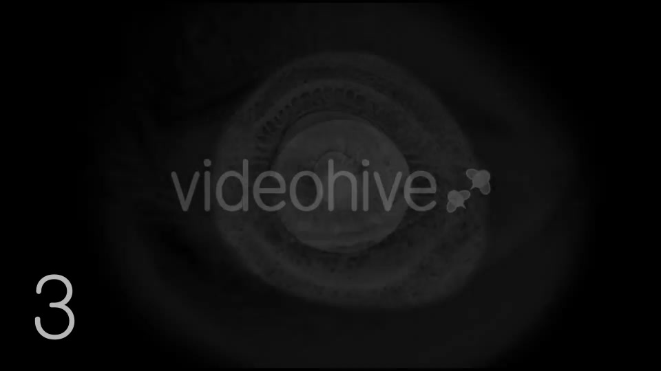 Horror Film Overlays Pack. Videohive 17718361 Motion Graphics Image 4