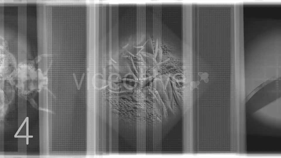 Horror Film Overlays Pack. Videohive 17718361 Motion Graphics Image 6