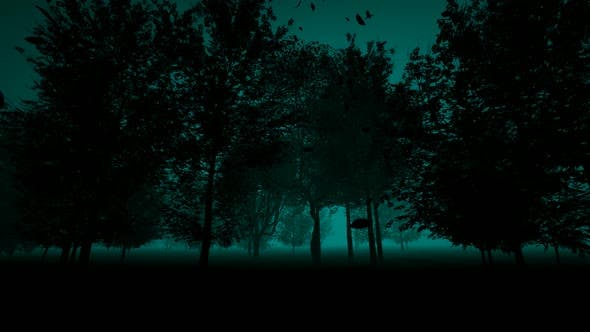 Horror Forest - 24467257 Videohive Download