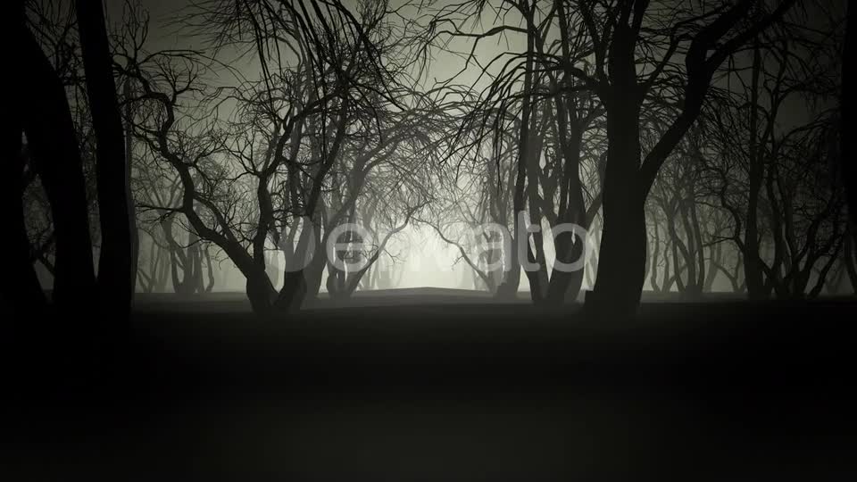 Horror Forest 4k Videohive 24789556 Motion Graphics Image 1