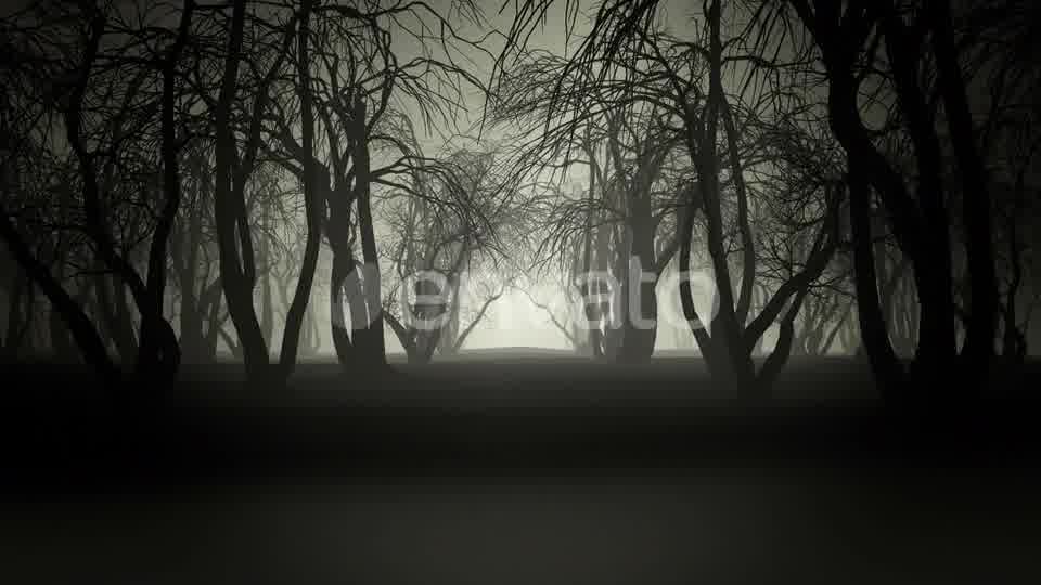 Horror Forest 4k Videohive 24789556 Motion Graphics Image 10