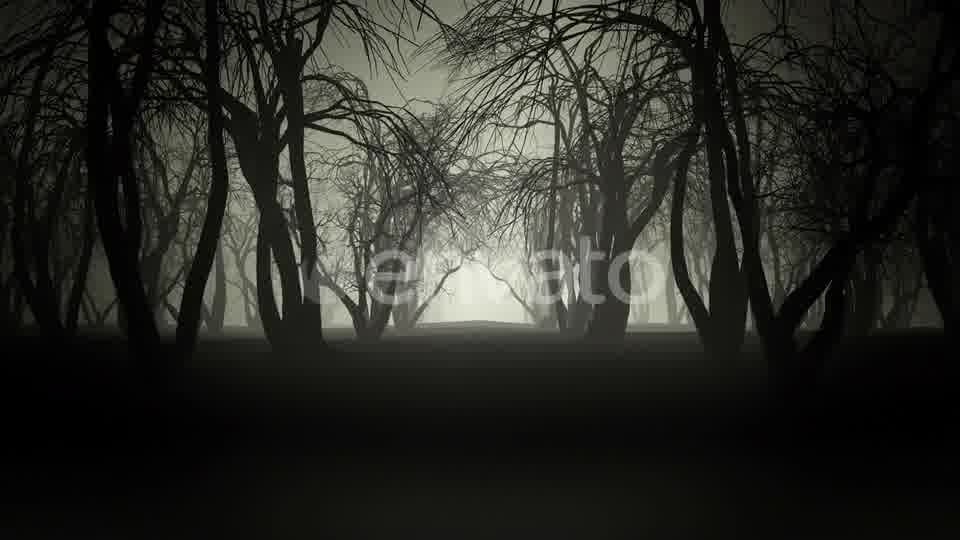 Horror Forest 4k Videohive 24789556 Motion Graphics Image 11