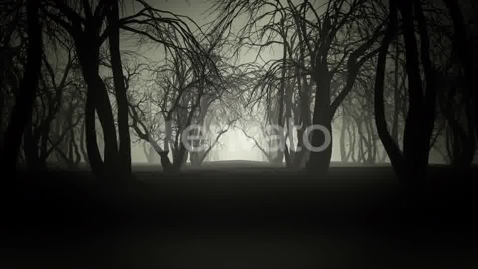 Horror Forest 4k Videohive 24789556 Motion Graphics Image 12