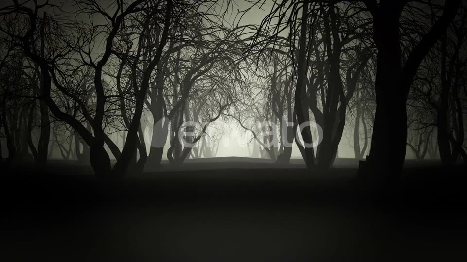 Horror Forest 4k Videohive 24789556 Motion Graphics Image 2