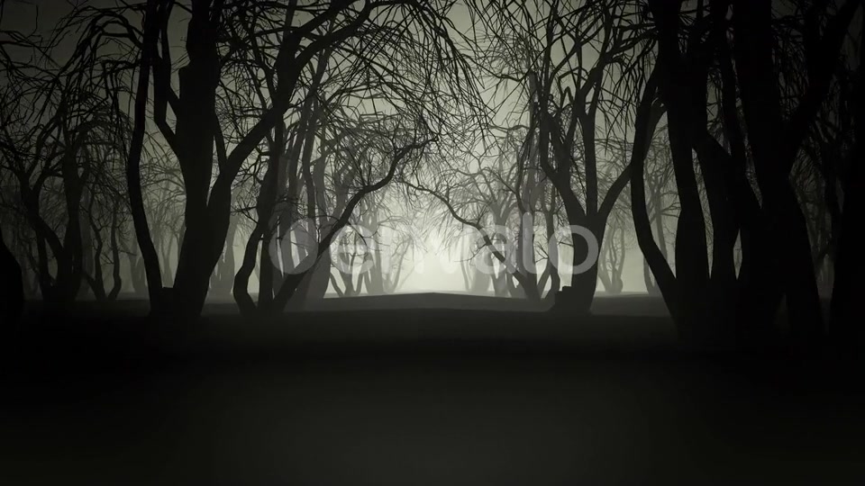Horror Forest 4k Videohive 24789556 Motion Graphics Image 4