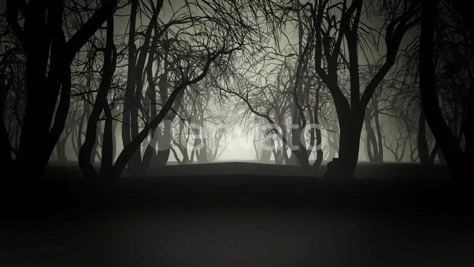 Horror Forest 4k Videohive 24789556 Motion Graphics Image 5