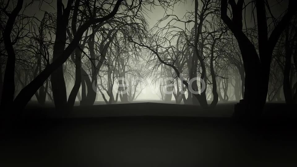 Horror Forest 4k Videohive 24789556 Motion Graphics Image 6