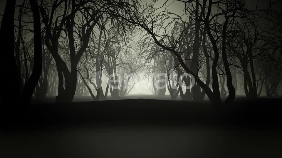 Horror Forest 4k Videohive 24789556 Motion Graphics Image 7