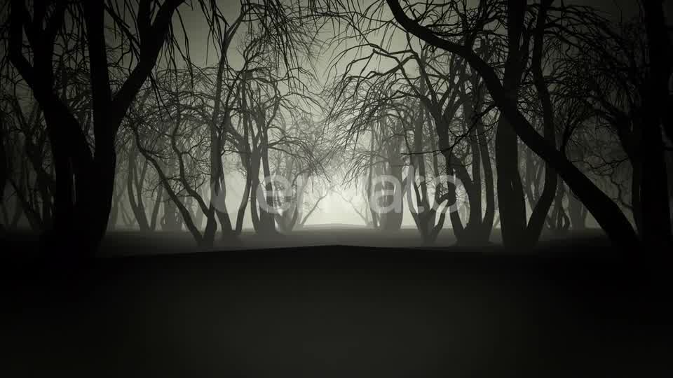 Horror Forest 4k Videohive 24789556 Motion Graphics Image 8