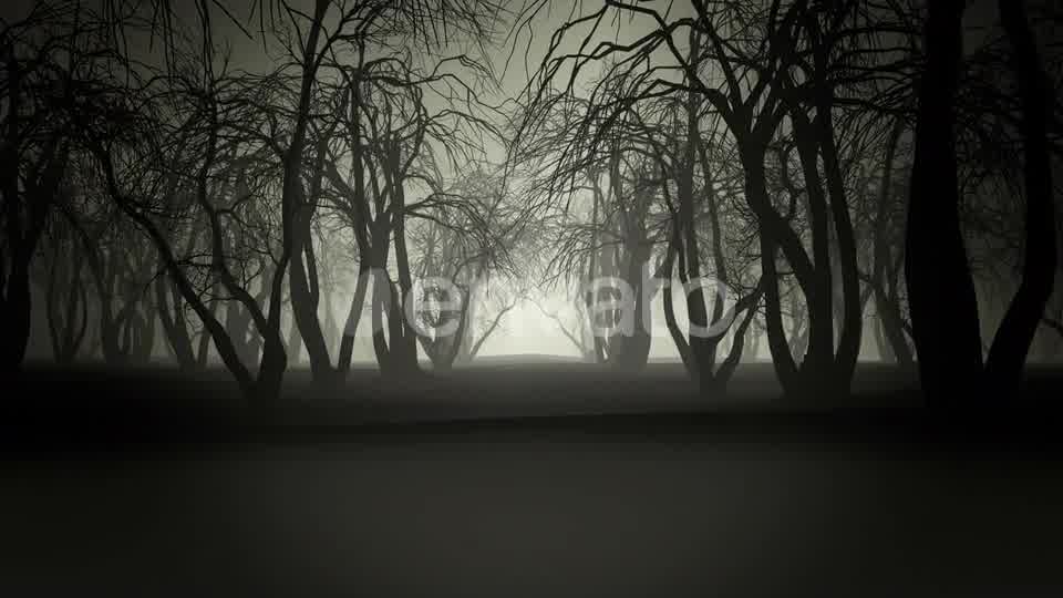 Horror Forest 4k Videohive 24789556 Motion Graphics Image 9