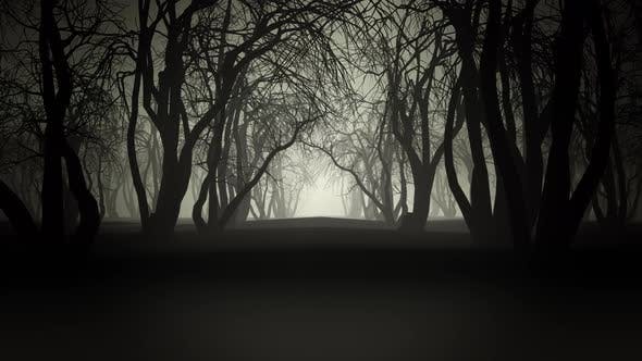 Horror Forest 4k - 24789556 Videohive Download