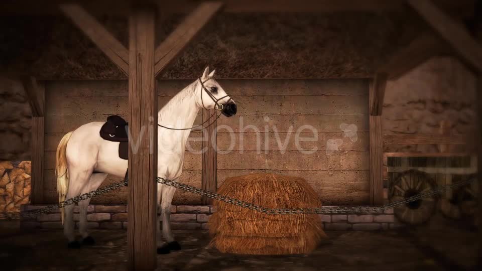 Horse and Barn Videohive 19608069 Motion Graphics Image 1