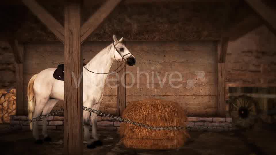 Horse and Barn Videohive 19608069 Motion Graphics Image 10