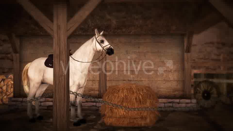 Horse and Barn Videohive 19608069 Motion Graphics Image 11