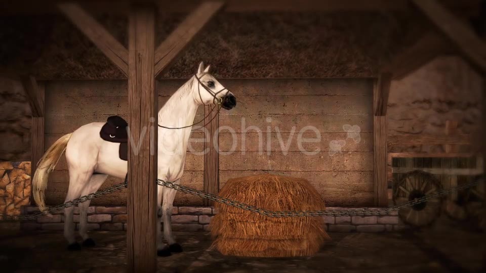 Horse and Barn Videohive 19608069 Motion Graphics Image 2