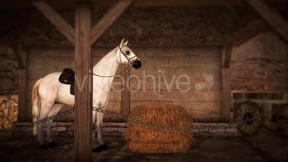 Horse and Barn Videohive 19608069 Motion Graphics Image 3