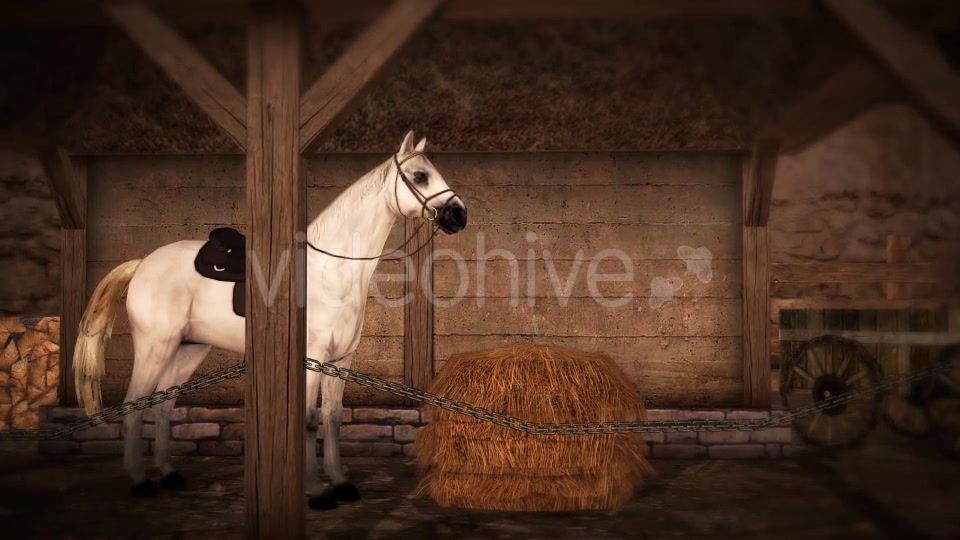 Horse and Barn Videohive 19608069 Motion Graphics Image 4