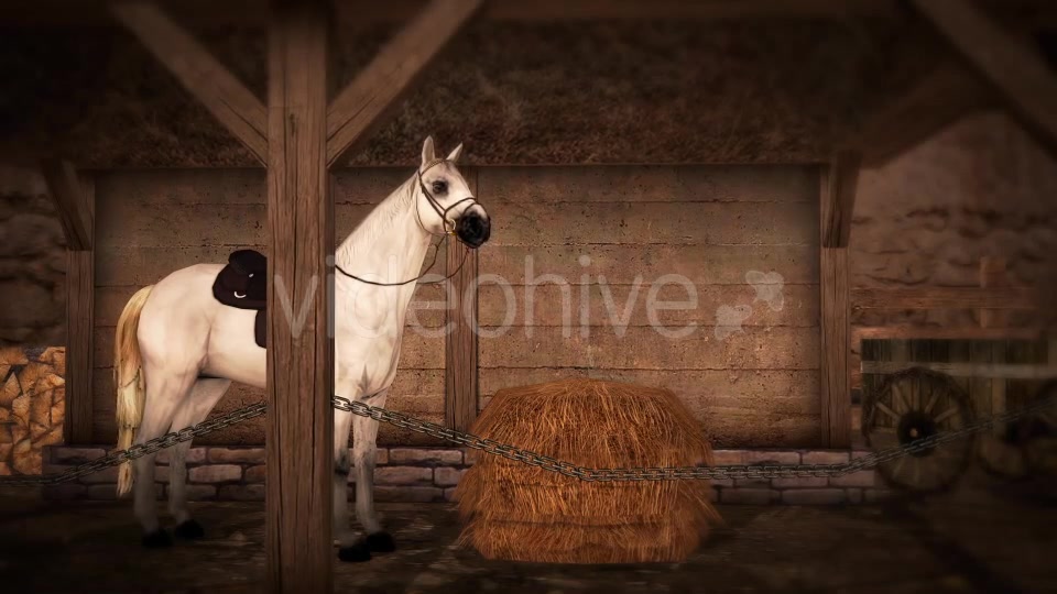 Horse and Barn Videohive 19608069 Motion Graphics Image 5