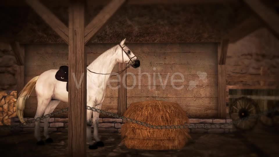 Horse and Barn Videohive 19608069 Motion Graphics Image 7