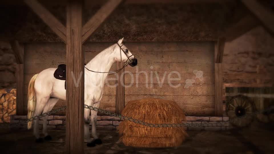 Horse and Barn Videohive 19608069 Motion Graphics Image 8