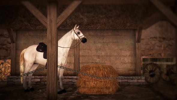 Horse and Barn - 19608069 Videohive Download