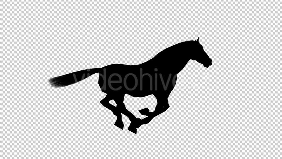 Horse Gallop Videohive 19608026 Motion Graphics Image 1