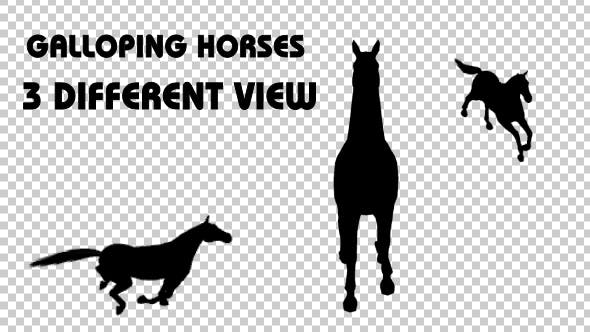 Horse Galloping Silhouettes 3 Different View - 19292199 Download Videohive