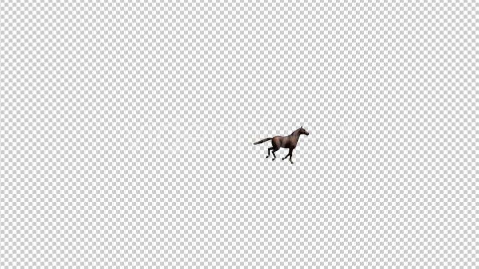 Horse Galloping Videohive 19198697 Motion Graphics Image 4