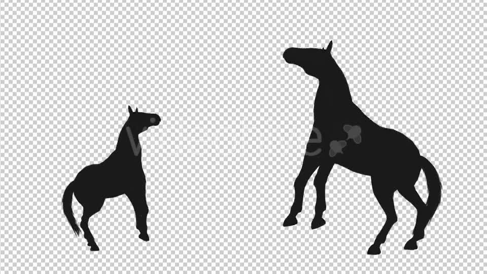 Horse Pesade Silhouettes 2 Scene Videohive 19199475 Motion Graphics Image 1