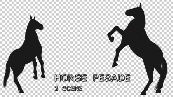 Horse Pesade Silhouettes 2 Scene - Download Videohive 19199475