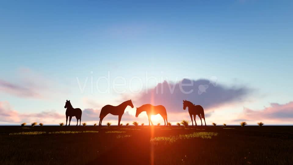 Horses Silhouette Videohive 19194963 Motion Graphics Image 1