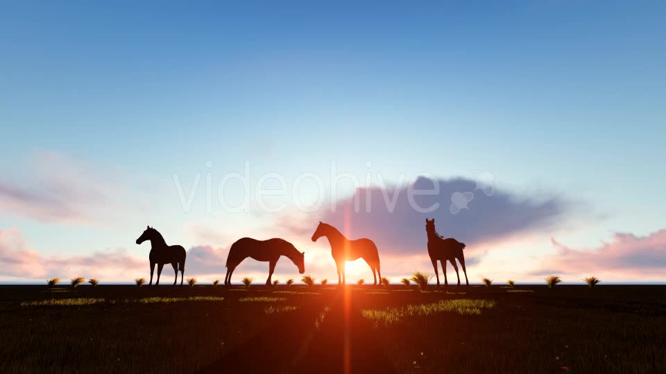 Horses Silhouette Videohive 19194963 Motion Graphics Image 11
