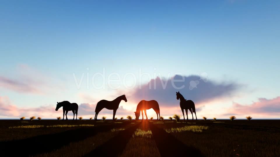 Horses Silhouette Videohive 19194963 Motion Graphics Image 2
