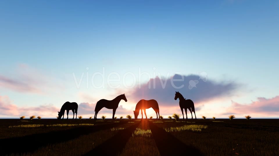 Horses Silhouette Videohive 19194963 Motion Graphics Image 4