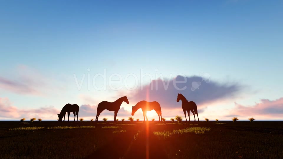 Horses Silhouette Videohive 19194963 Motion Graphics Image 6