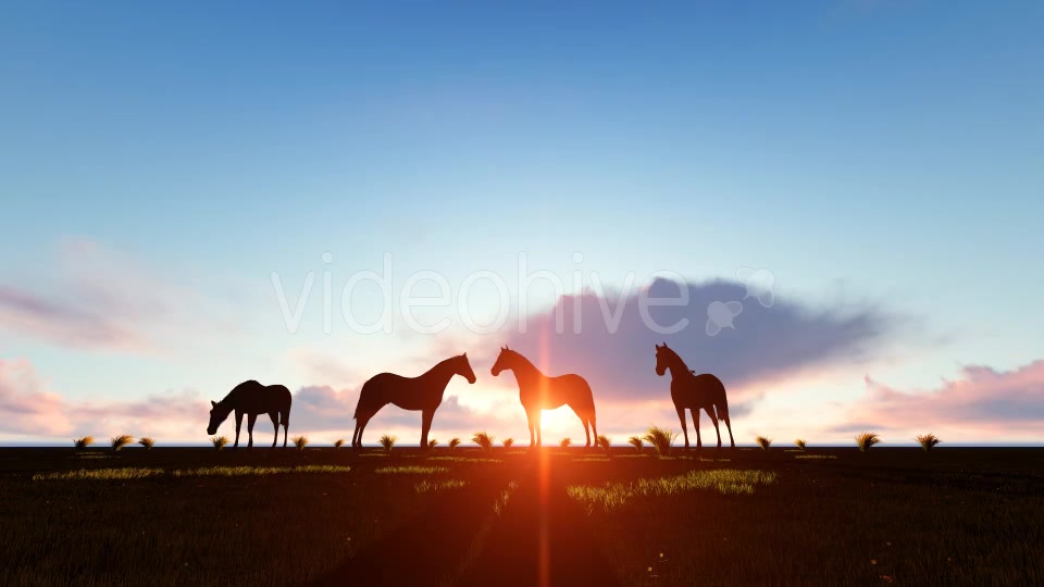 Horses Silhouette Videohive 19194963 Motion Graphics Image 7