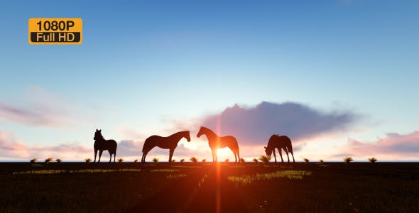 Horses Silhouette - Videohive Download 19194963