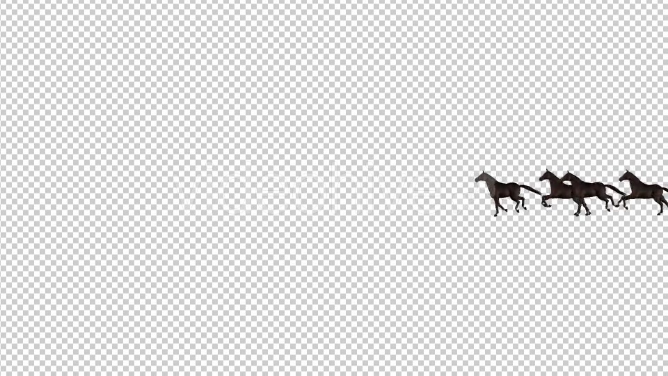 Horses Videohive 20510065 Motion Graphics Image 3