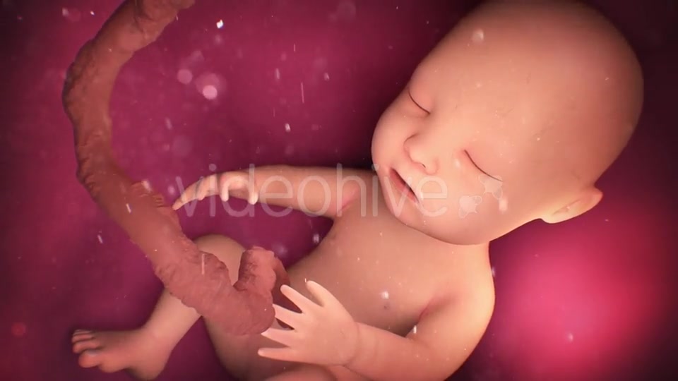 Human Baby Inside a Mothers Womb Videohive 18277480 Motion Graphics Image 10