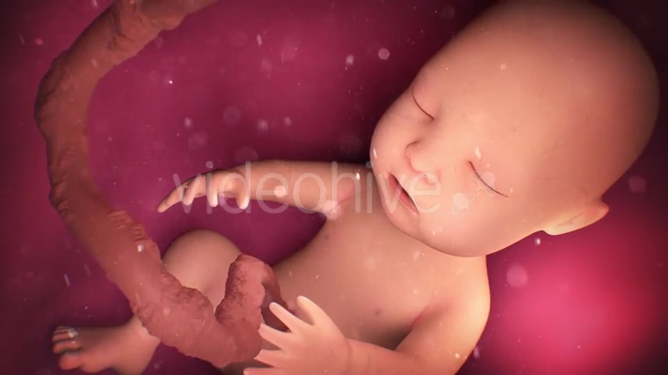 Human Baby Inside a Mothers Womb Videohive 18277480 Motion Graphics Image 11