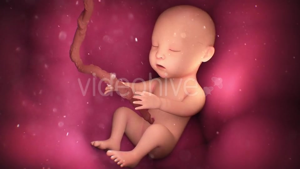 Human Baby Inside a Mothers Womb Videohive 18277480 Motion Graphics Image 4