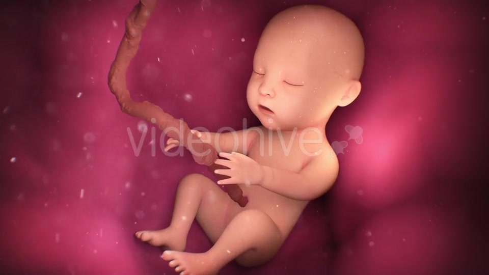 Human Baby Inside a Mothers Womb Videohive 18277480 Motion Graphics Image 5