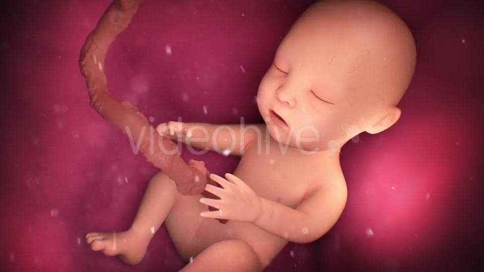 Human Baby Inside a Mothers Womb Videohive 18277480 Motion Graphics Image 8