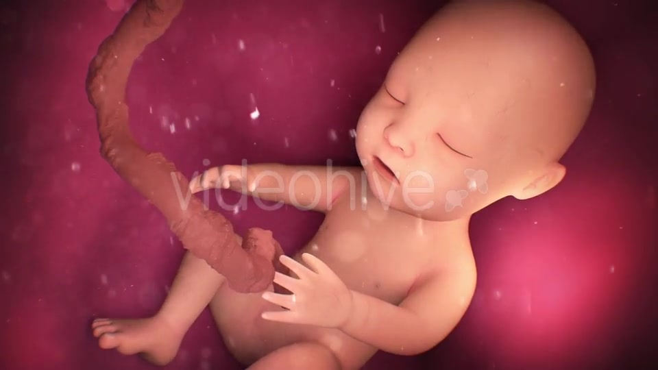 Human Baby Inside a Mothers Womb Videohive 18277480 Motion Graphics Image 9