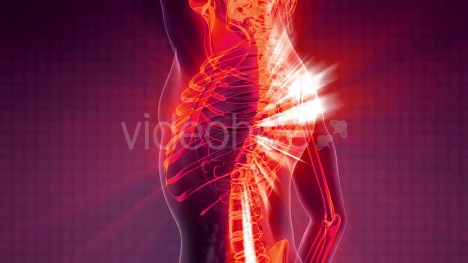 Human Body with Visible Skeletal Bones Videohive 20506722 Motion Graphics Image 3