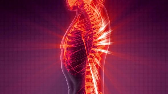 Human Body with Visible Skeletal Bones - Videohive Download 20506722